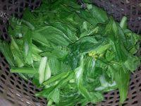 「DIY美食」清炒小白菜做法图解1)