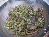 味道不错的肉丝炒蕨菜做法图解10)