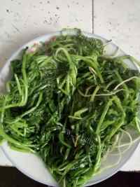 家常菜清炒萝卜菜
