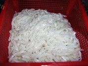 美味的鸡丝炒面做法图解4)