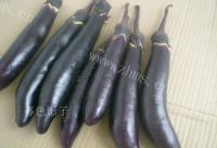 美味甜筒奶油蛋糕做法图解1)