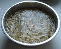 简单的凉拌绿豆芽做法图解2)