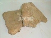 家常菜清炒山药片做法图解1)