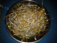 绿色食物韭菜炒豆芽做法图解2)
