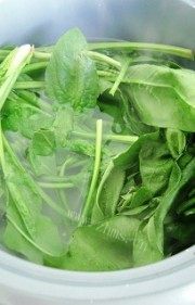 家常菜麻酱粉丝菠菜做法图解2)