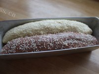 自制双色吐司做法图解7)