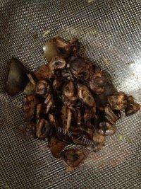 罗汉果金银花茶做法图解3)