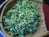 家常菜韭菜花酱做法图解1)