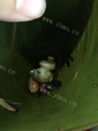 美味的五谷蜜枣粽做法图解3)