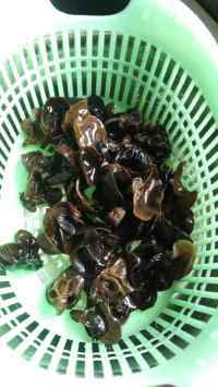 面食类金针菇木耳鸡蛋面做法图解2)