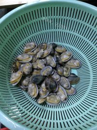 珍馐美味的炒花甲做法图解8)