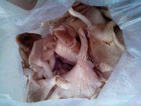 记忆中的蘑菇炒肉的做法图解一