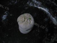 「首发」葱油饼做法图解11)