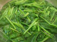 美美厨房之凉拌菠菜做法图解3)