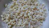 唇齿留香的韭菜炒豆芽做法图解6)