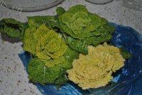 家常菜清炒黄心菜做法图解1)