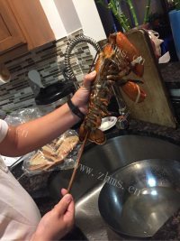 美味姜葱大龙虾做法图解1)