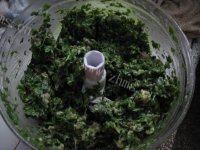 自己做的荠菜鲜肉饺子做法图解4)