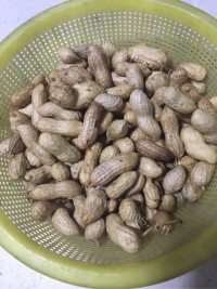 简易的盐水花生做法图解1)