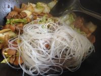 美味的猪肉白菜炖粉条做法图解10)