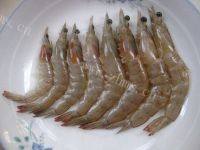 美味的清蒸大虾做法图解6)