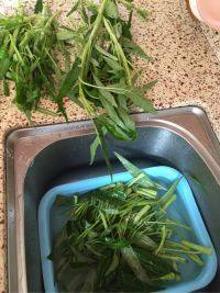 家常菜豆瓣酱炒空心菜做法图解1)