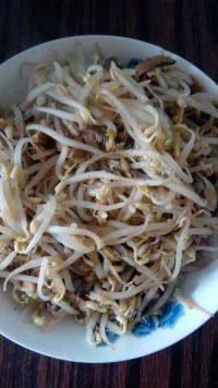 食欲满满的肉丝炒豆芽做法图解5)