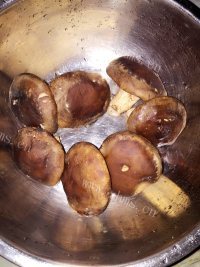 美味圆白菜饺子做法图解4)