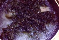 美味的紫菜丸子汤做法图解5)