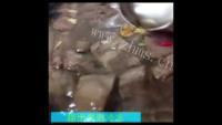 羊杂汤做法图解1)