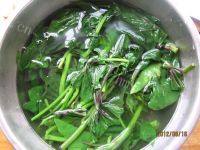 家常菜蒜香红薯叶做法图解2)