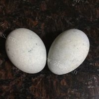 喷香的皮蛋瘦肉粥做法图解2)
