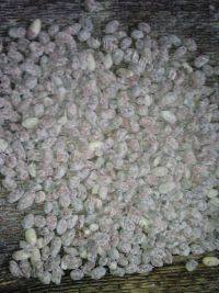 下酒菜挂霜花生