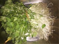 美味的娃娃菜肉末汤做法图解1)
