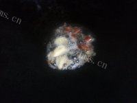在家做的炒河粉做法图解5)