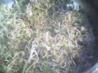 香醇的素炒豆芽做法图解9)