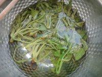 「首发」香椿拌豆腐做法图解1)