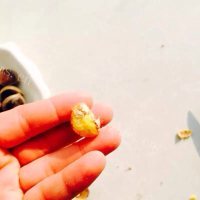 小米栗子粥做法图解3)