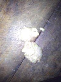 家常菜炖鸡块做法图解2)
