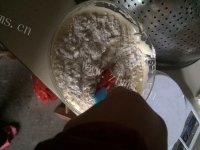 美味的棒棒糖蛋糕做法图解7)