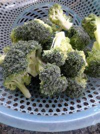 最爱的清炒西兰花做法图解2)