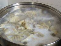简易的茴香猪肉水饺