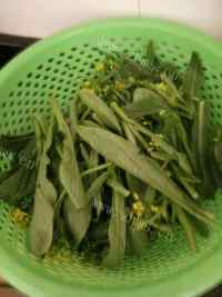 好吃的蒜蓉菜心做法图解1)