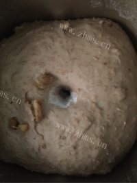 美味的全麦红糖核桃欧包做法图解5)