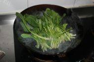鲜嫩的菠菜拌粉丝做法图解3)