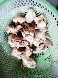 清淡的山药炖鸡汤做法图解5)
