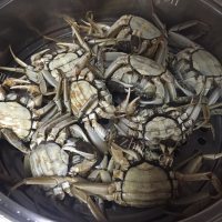 色香味俱全的清蒸大闸蟹做法图解5)