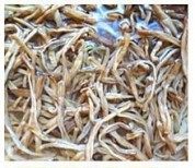 美味的黄花菜烧猪肉做法图解3)