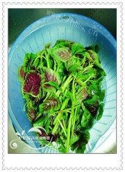 美味的蒜茸红菜苔做法图解1)