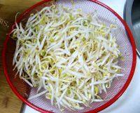 家常菜肉炒豆芽做法图解1)